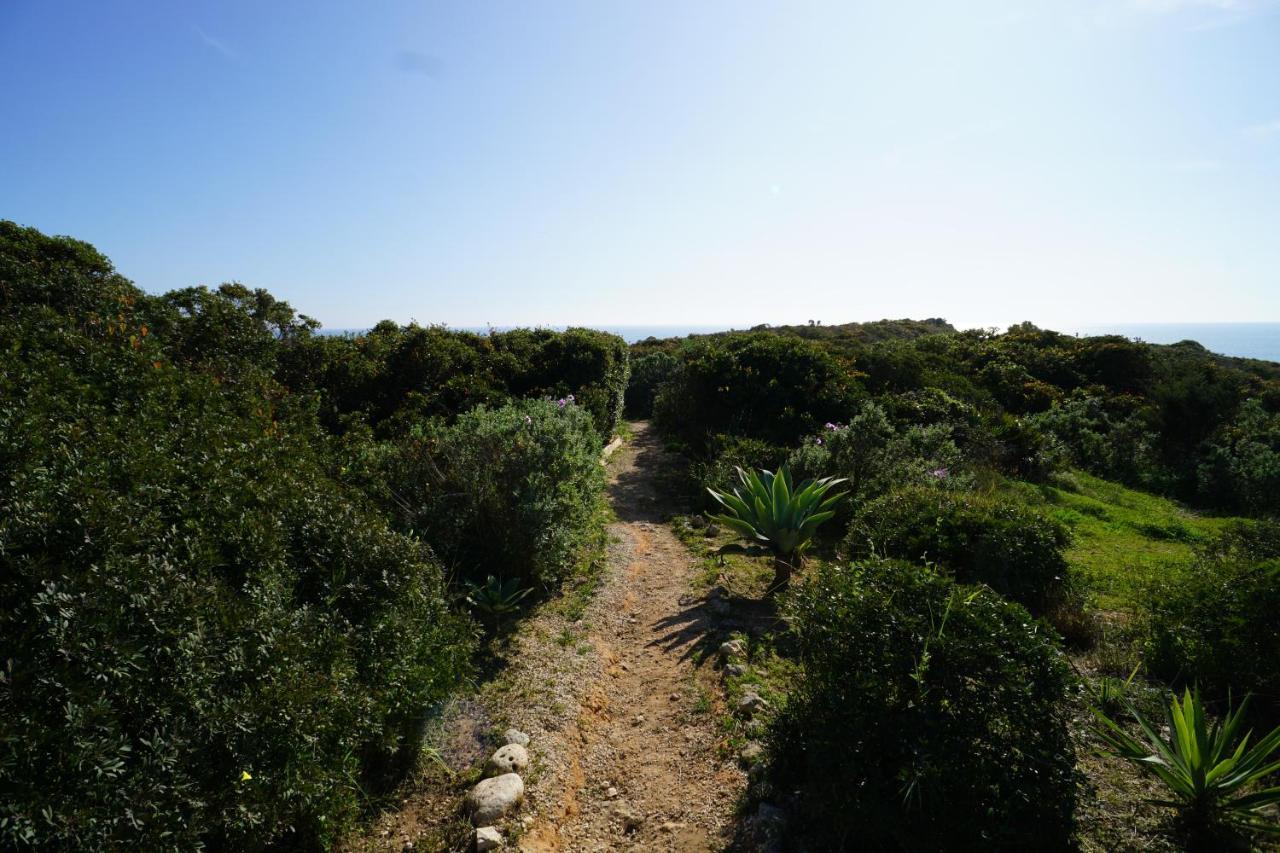 Vila Gaivota 3G フェラグド エクステリア 写真